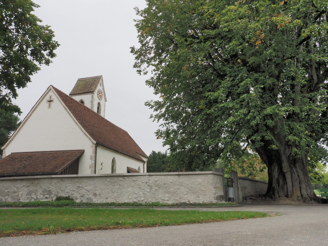 Die Kirche von Seeberg mit der 500 Jahre alten Linde