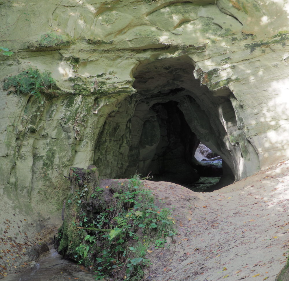 Mutzbach - Seitenarm aus der Sandsteinhöhle
