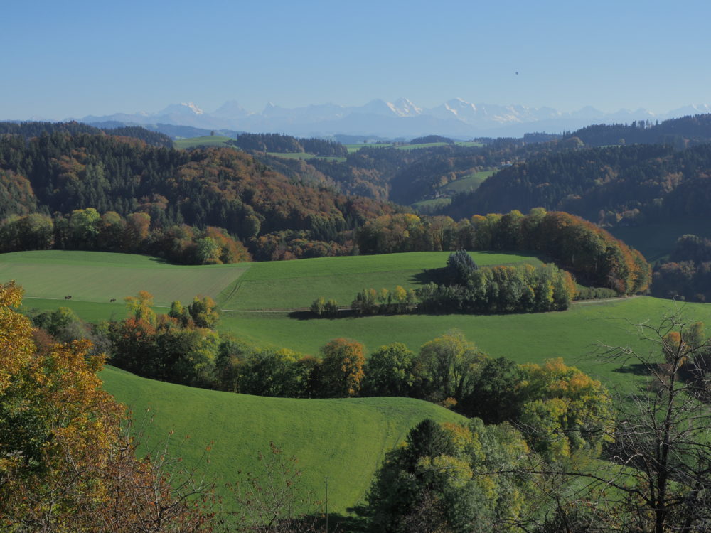 Hügel des Emmentals mit Eiger Mönch und Jungfrau